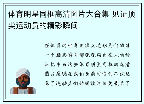 体育明星同框高清图片大合集 见证顶尖运动员的精彩瞬间