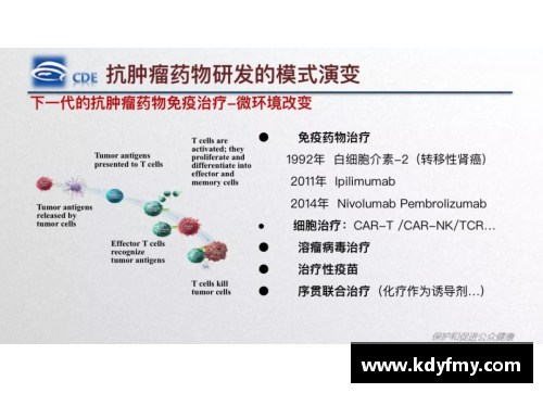 体育明星收藏品多样性探索与价值评估之旅