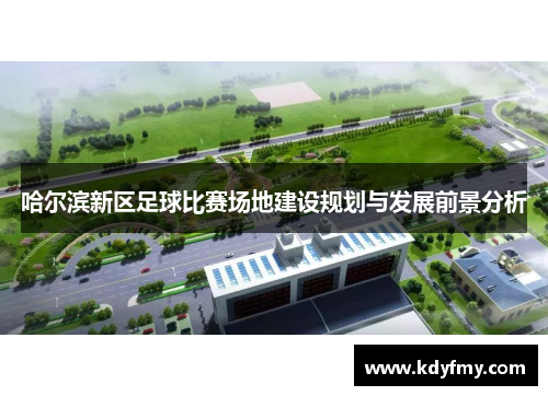 哈尔滨新区足球比赛场地建设规划与发展前景分析